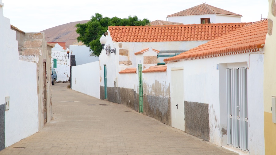 Pajara showing a small town or village