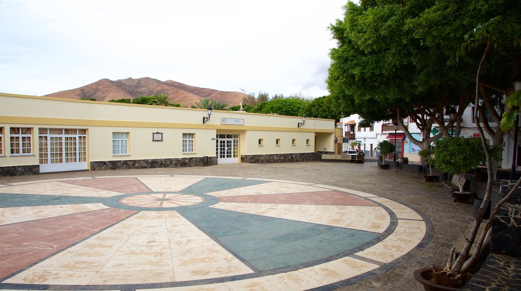 Reiseführer Pajara 2024 das Beste in Pajara entdecken Expedia.de