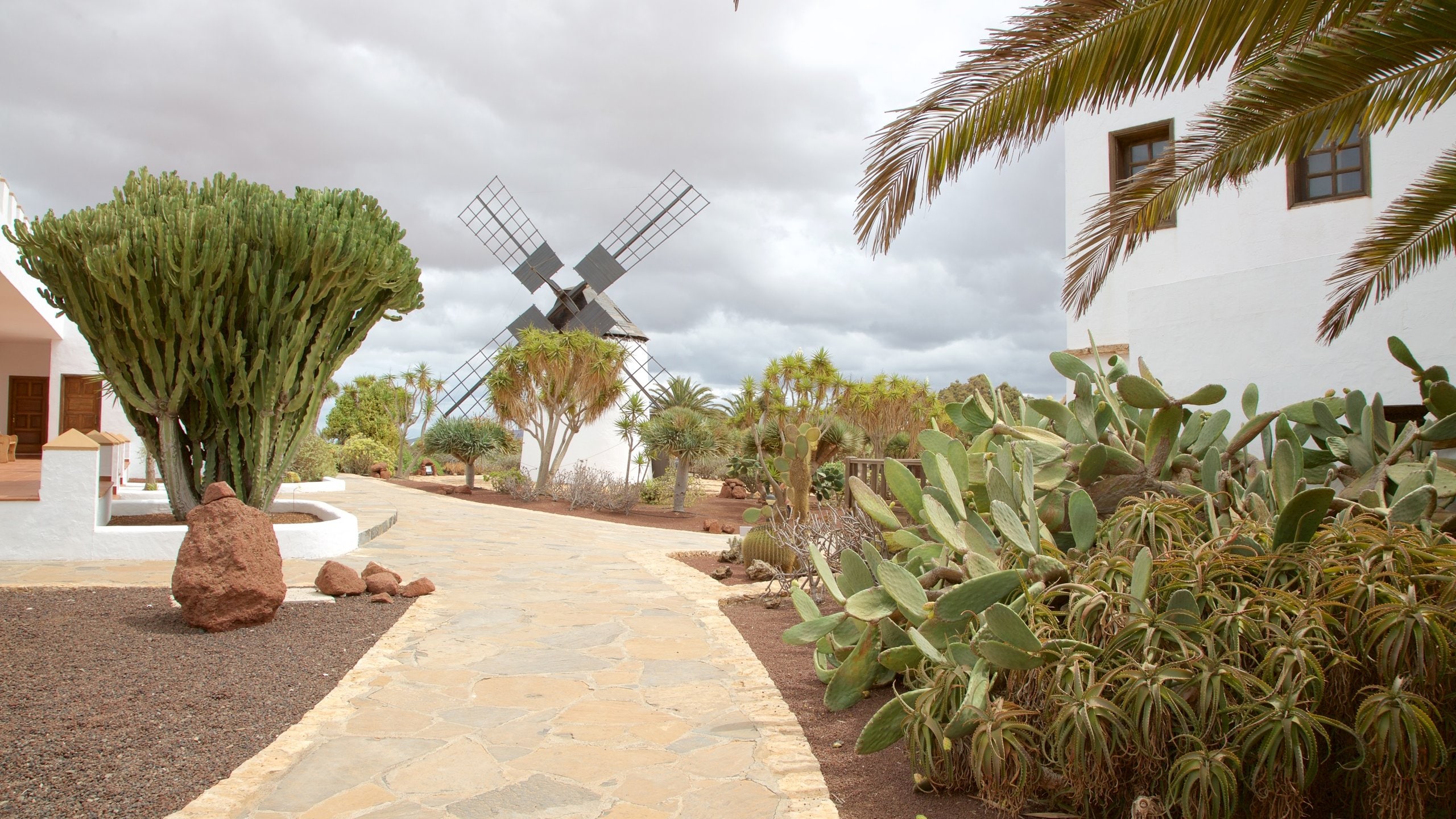 Antigua showing a garden and a windmill