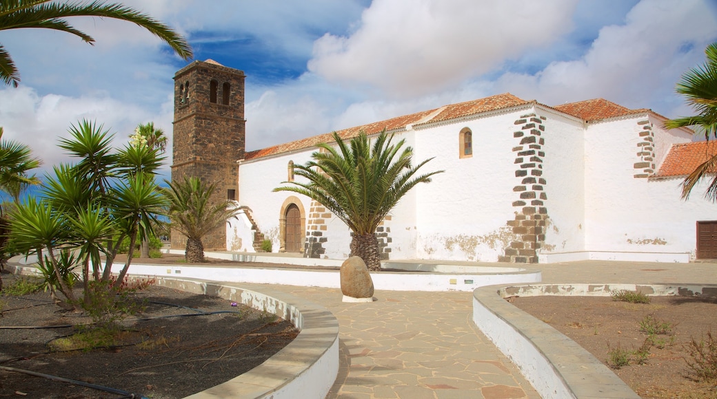 La Oliva ofreciendo arquitectura patrimonial y jardín