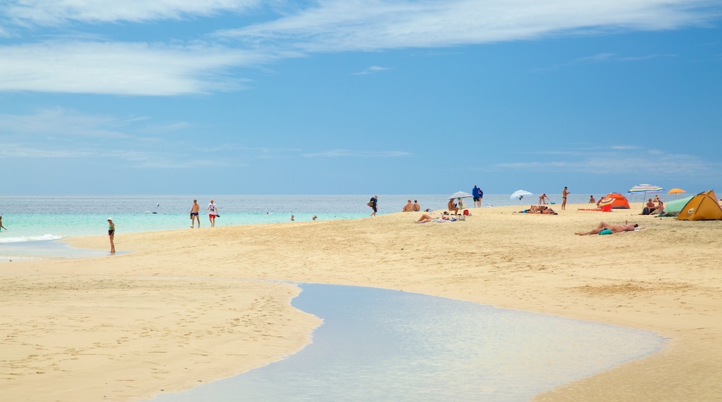 Jandia Beach showing a sandy beach and general coastal views