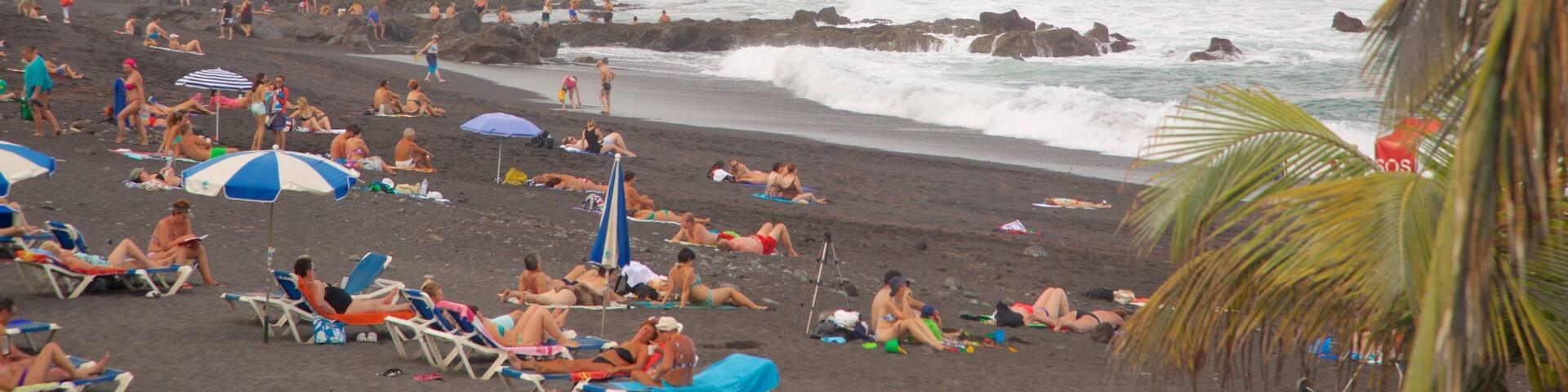 Garden Beach showing general coastal views and a coastal town as well as a large group of people