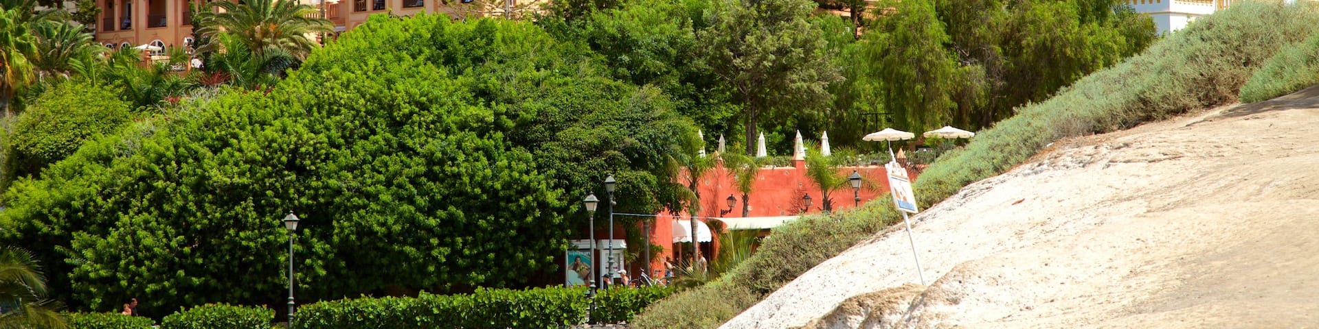 Plage Del Duque qui includes plage de sable et ville
