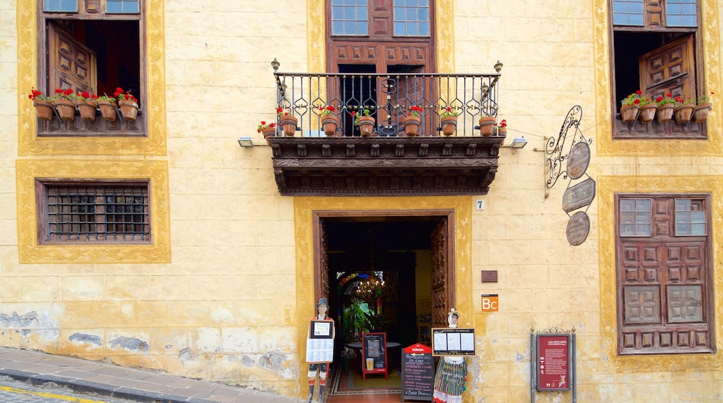 La Orotava featuring a city