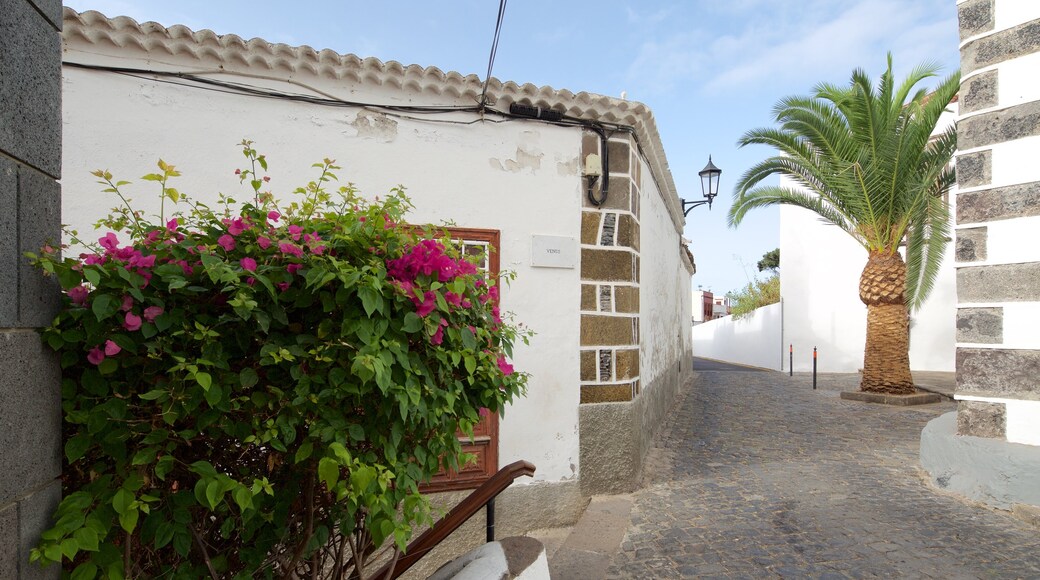 Garachico showing flowers and a small town or village