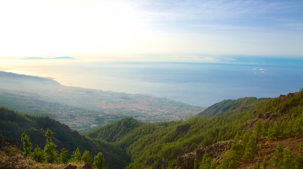 Santiago del Teide toont bos, een zonsondergang en landschappen