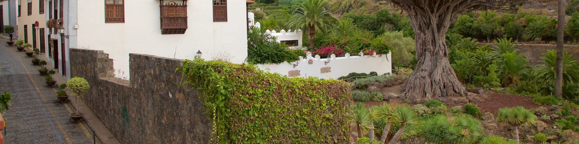 Icod de los Vinos featuring a small town or village