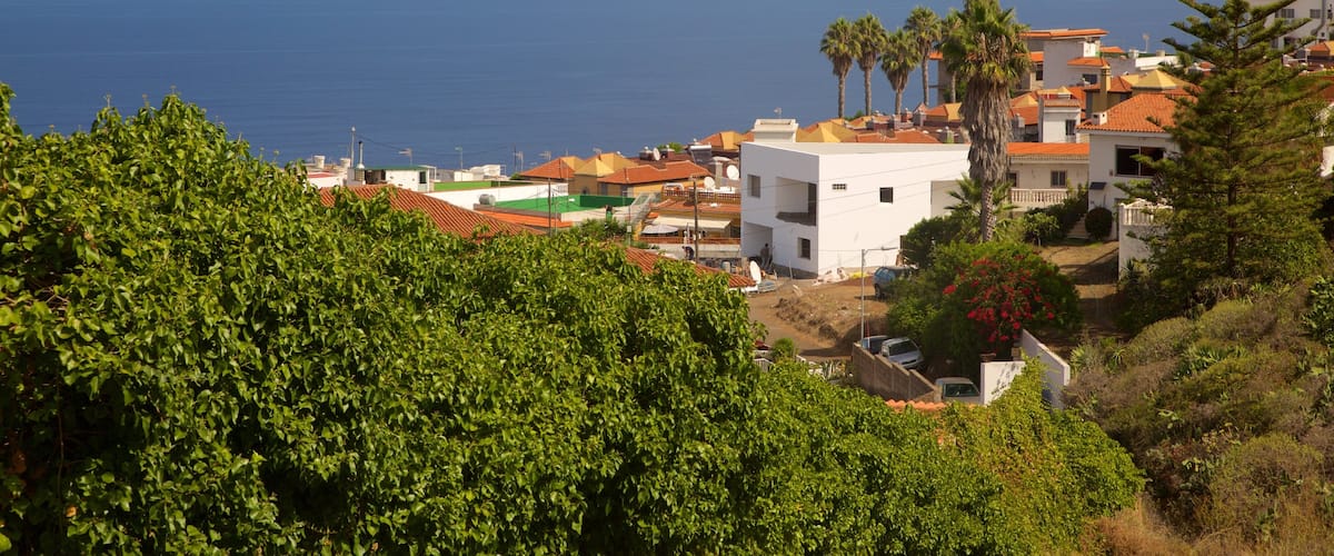 Sauzal featuring a coastal town and general coastal views