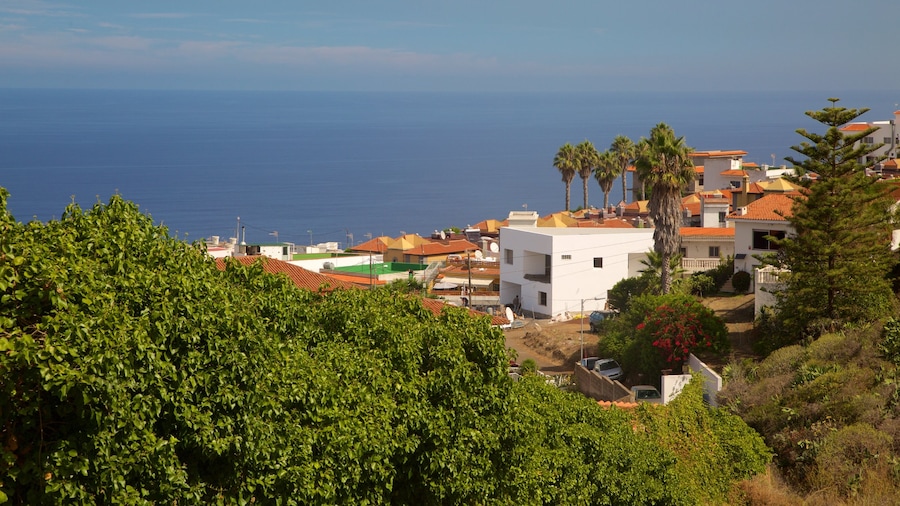 Sauzal mostrando uma cidade litorânea e paisagens litorâneas