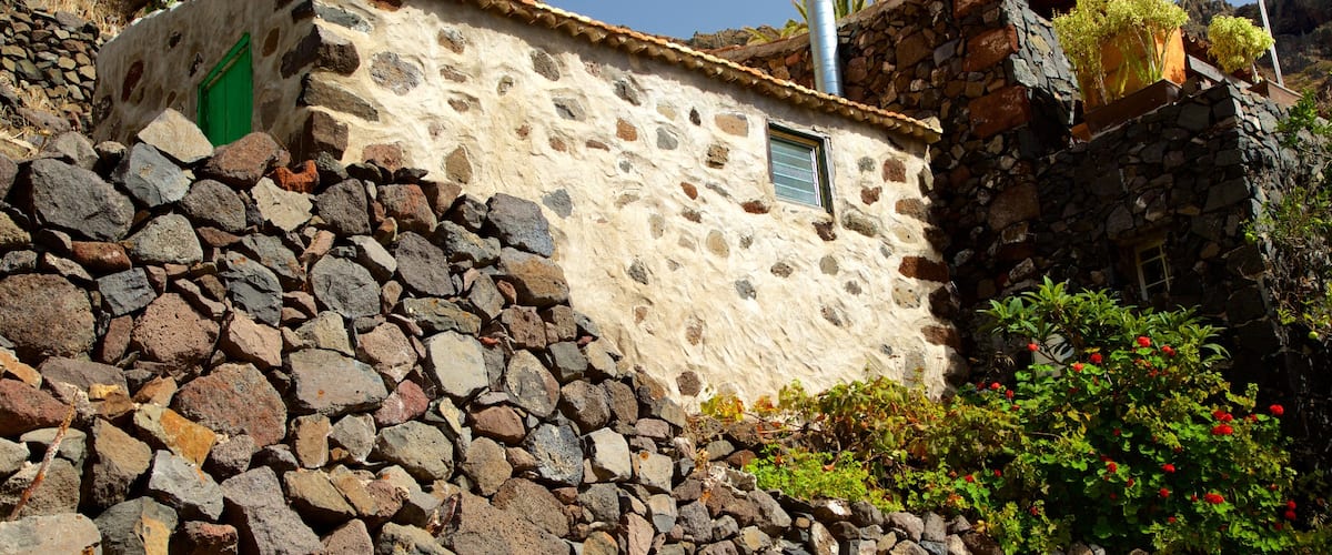 Masca mostrando una casa