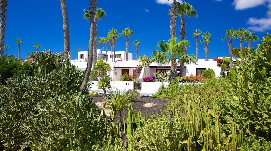 Playa Blanca das einen Haus und Garten