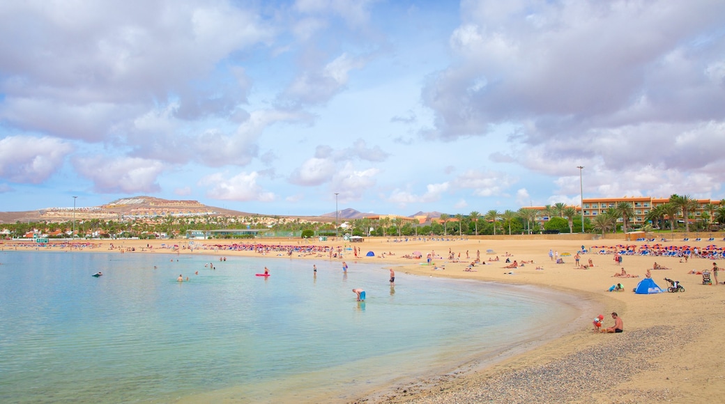 Caleta de Fuste which includes swimming, general coastal views and a beach