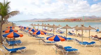 Caleta de Fuste caracterizando um hotel de luxo ou resort, uma praia de areia e paisagens litorâneas