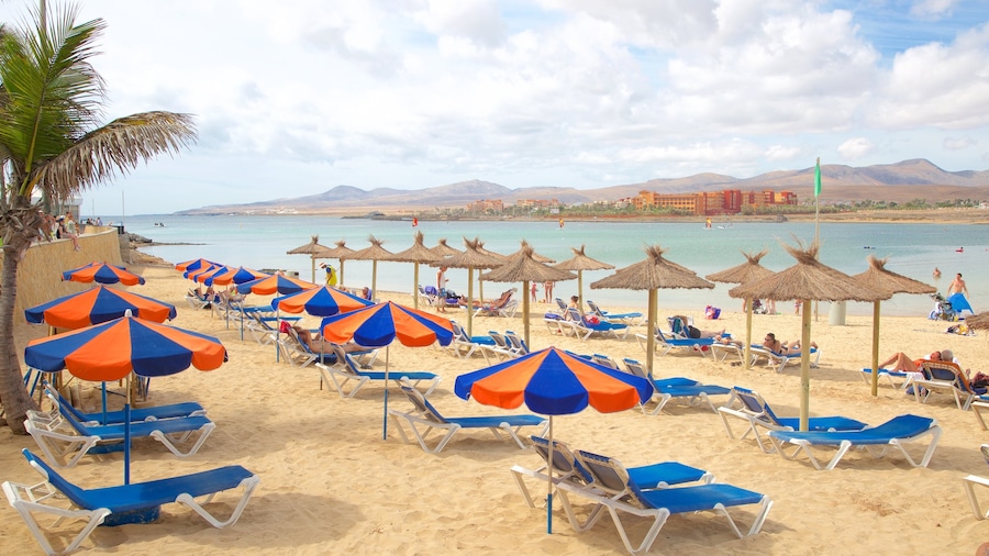 Caleta de Fuste showing a luxury hotel or resort, a sandy beach and general coastal views