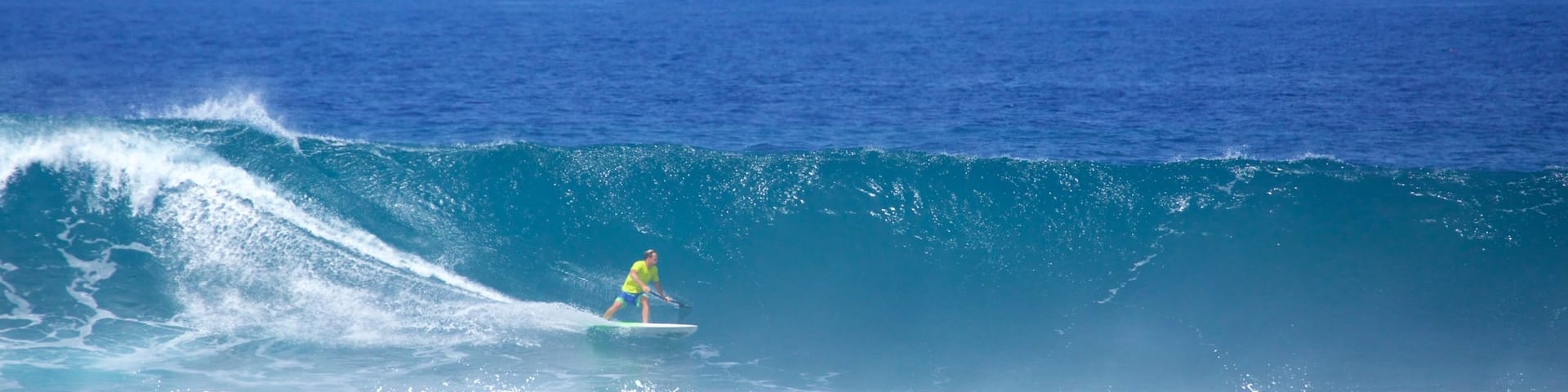 Playa de las Americas which includes surfing and surf as well as an individual male
