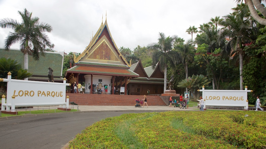 Loro Parque which includes zoo animals and signage