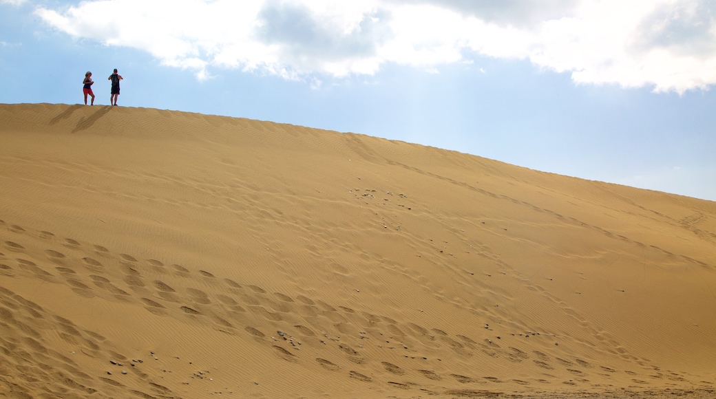 Maspalomas Dunes which includes desert views