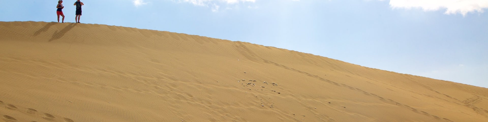 DĂŒnen von Maspalomas das einen WĂŒstenblick