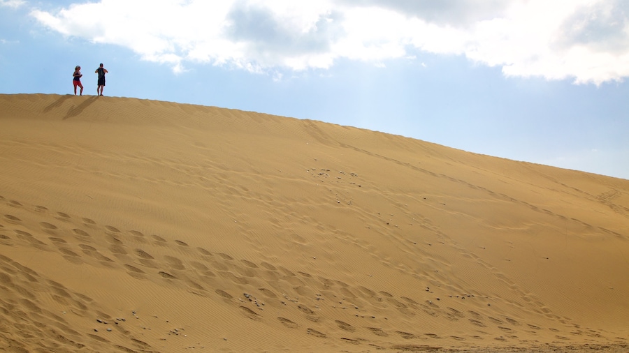 Maspalomas-duinen toont woestijnen