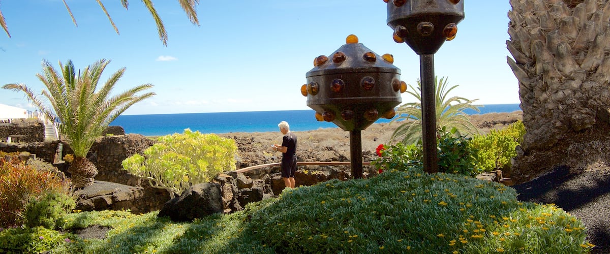 Jameos del Agua toont een park