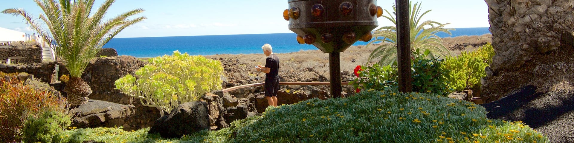 Jameos del Agua das einen Garten
