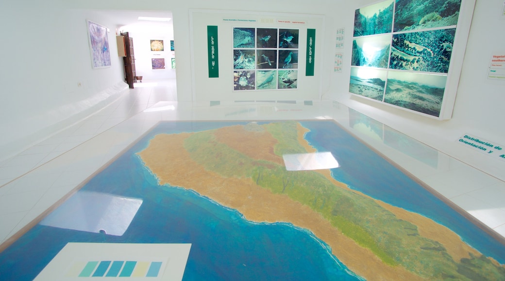 Jameos del Agua featuring interior views