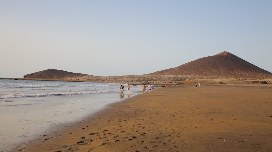 El Medano Beach which includes tranquil scenes, general coastal views and a sandy beach