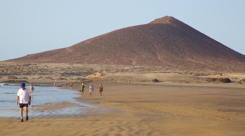 Plage El Medano mettant en vedette plage, scènes tranquilles et vues littorales