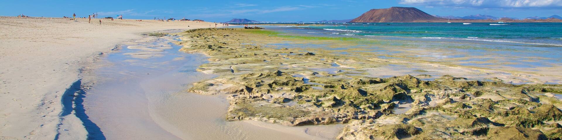 Corralejo Beach showing a sandy beach and general coastal views