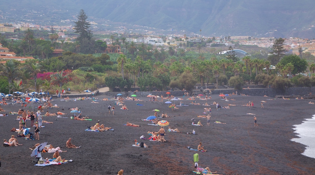 Playa Jardín toont algemene kustgezichten