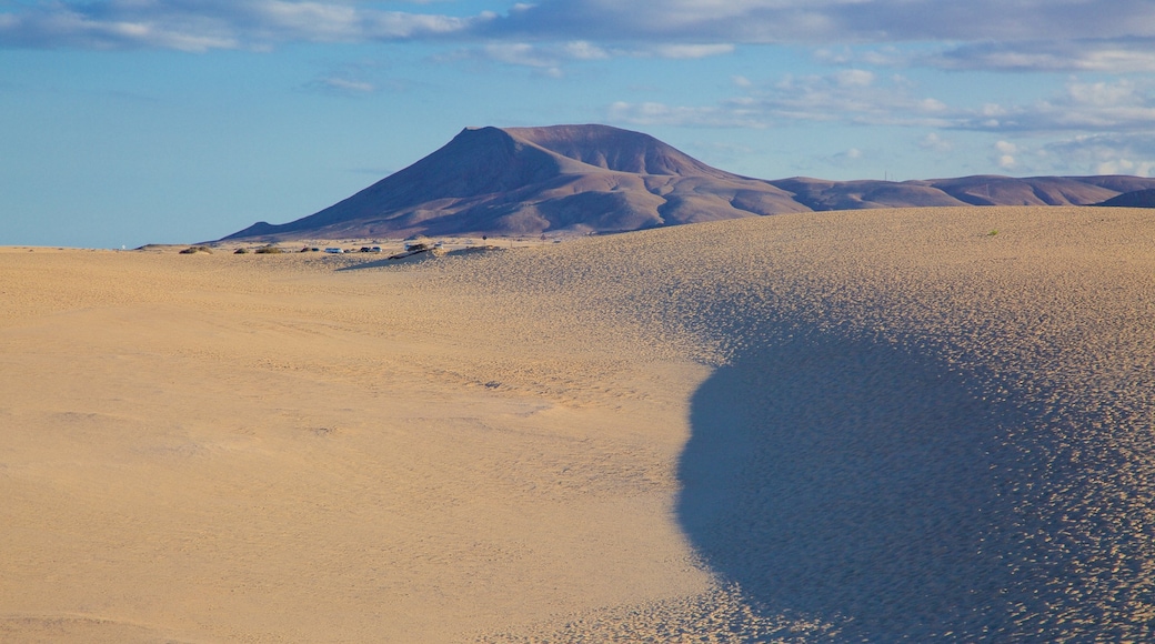 Parque Natural de las Dunas de Corralejo que incluye montañas y paisajes desérticos