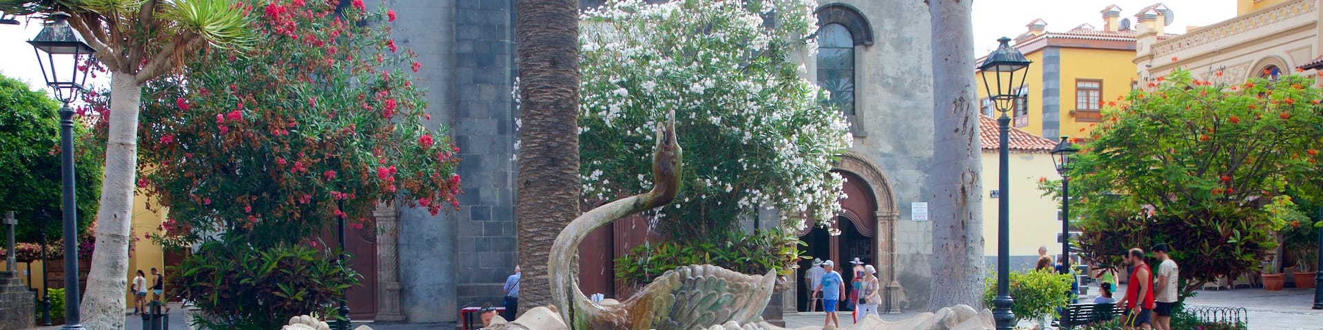 Plaza del Charco showing a fountain, flowers and a park