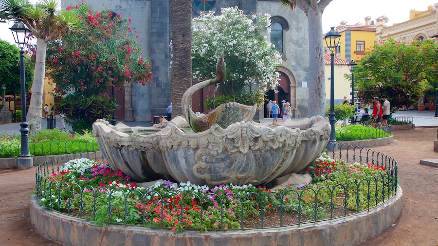 Plaza del Charco mettant en vedette jardin, fleurs et fontaine