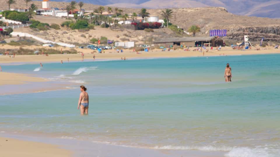 Sotavento de Jandia Strand som viser en sandstrand, udsigt over kystområde og en kystby