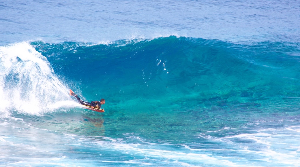 Gran Canaria ofreciendo surf, deportes acuáticos y arrecifes coloridos