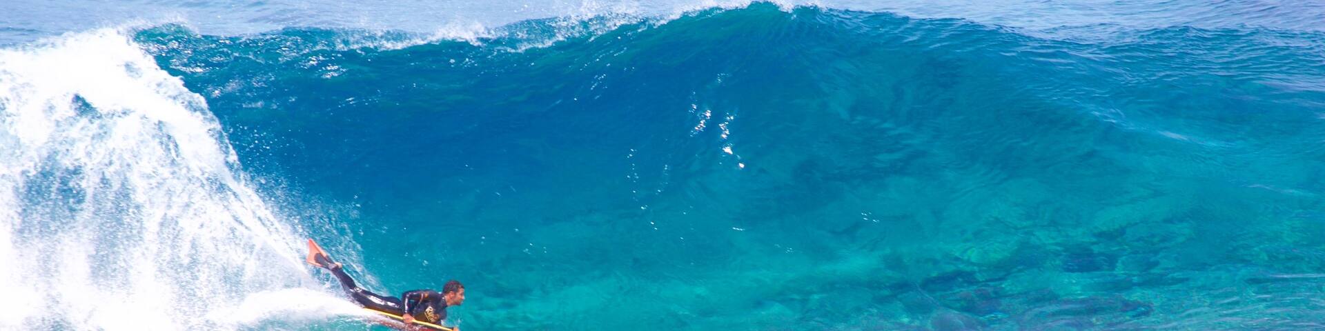 Gran Canaria featuring coral, general coastal views and water sports