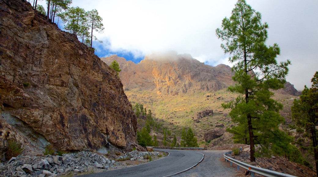 Canary Islands which includes mountains