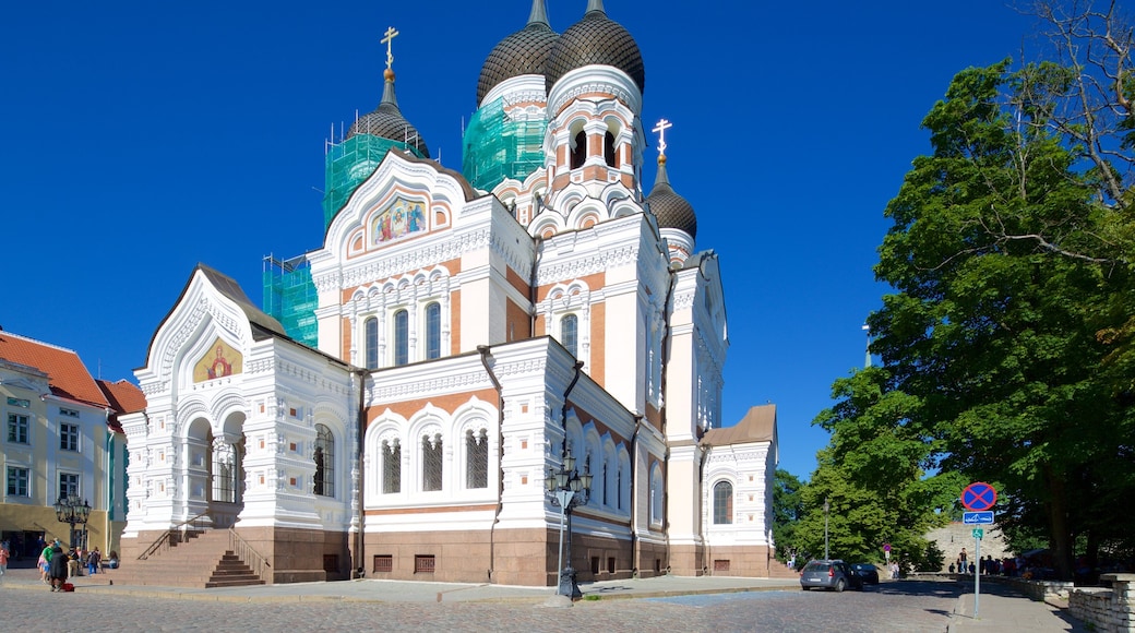 Alexander Nevsky-katedralen som visar en kyrka eller katedral