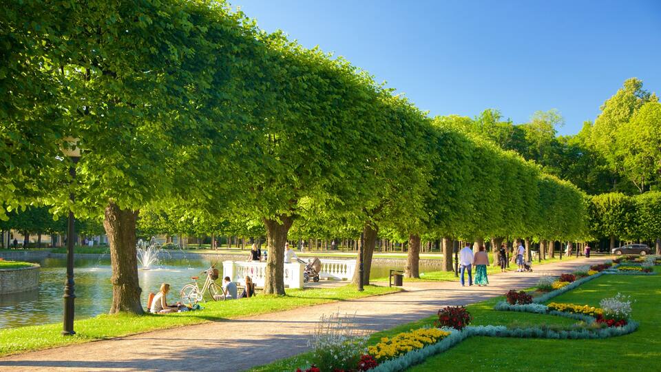 Tallinn which includes a park and a fountain