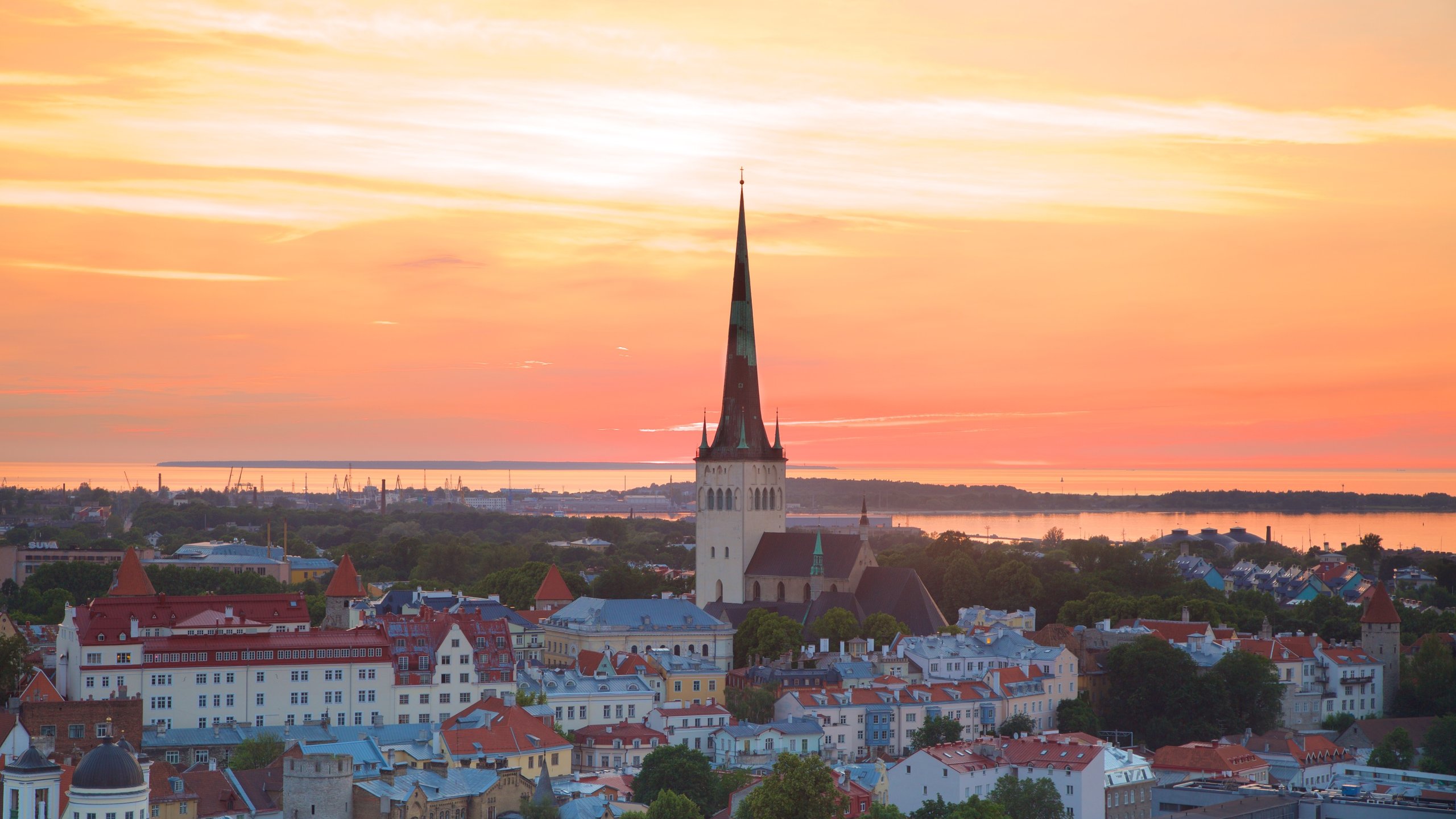 Tallinn showing a city and a sunset