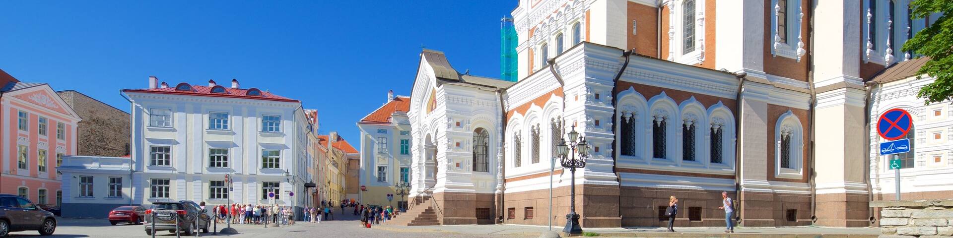 Alexander Nevsky Cathedral which includes heritage architecture, a square or plaza and a church or cathedral