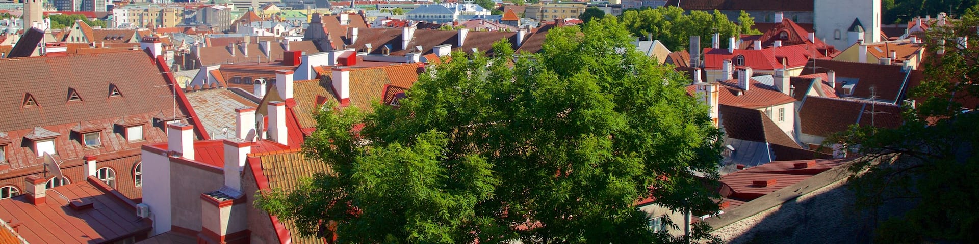 St. Nicholas\' Church showing a city