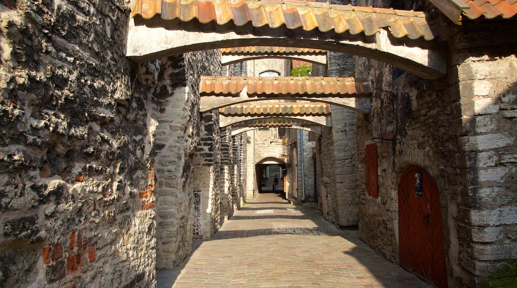 Pasaje de Santa Catalina ofreciendo una ciudad