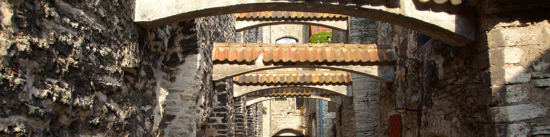 St. Catherine\'s Passage featuring a city