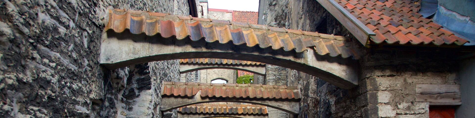 St. Catherine\'s Passage showing a city