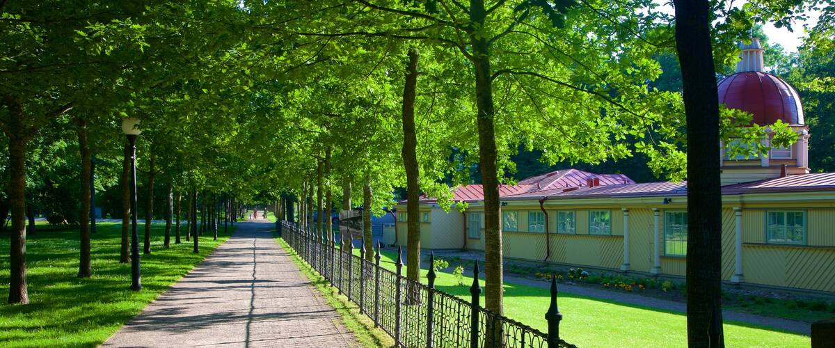 Parque Kadrioru que incluye un jardín