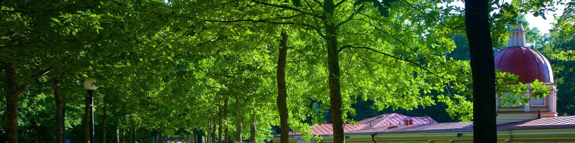 Kadrioru Park showing a garden