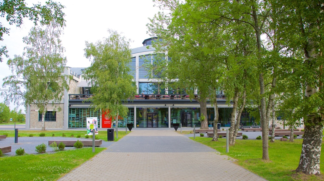 Tallinn das einen Bucht oder Hafen