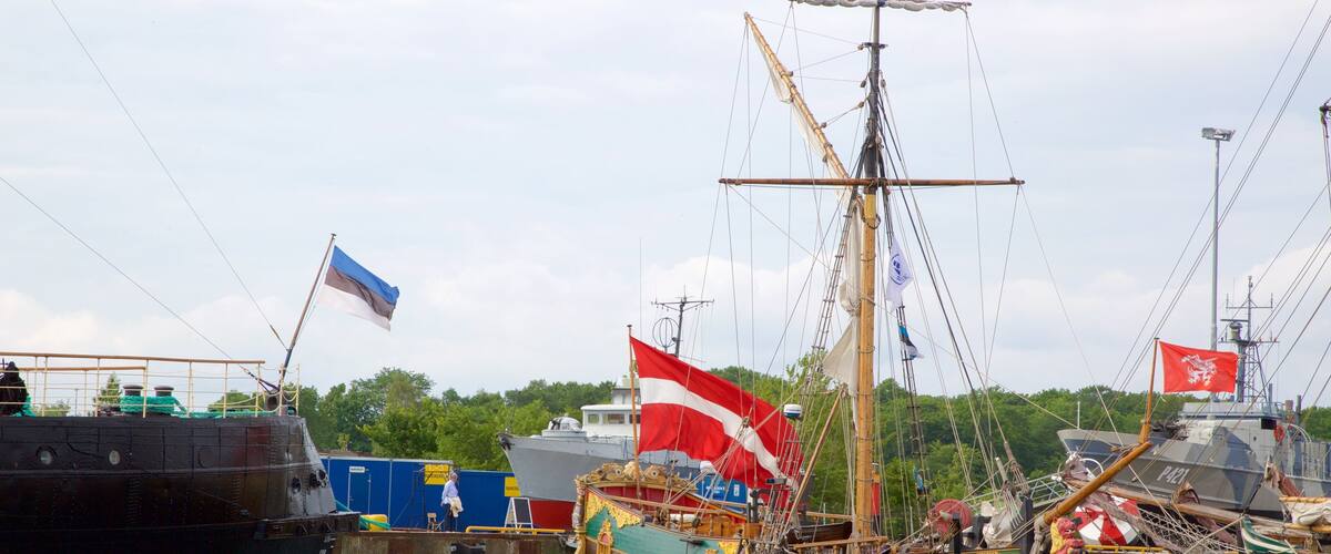 Tallinn das einen Bucht oder Hafen und Bootfahren