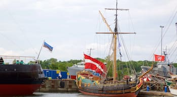 Tallinn som inkluderer båter og bukt eller havn